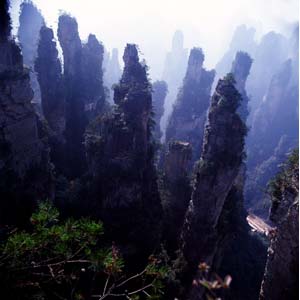 【純玩拼團線路】下午班：鳳凰古城、張家界、天子山三晚四日游