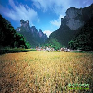 張家界往返純玩散拼：矮寨大橋、德夯苗寨、鳳凰古城、芙蓉鎮(zhèn)二日游