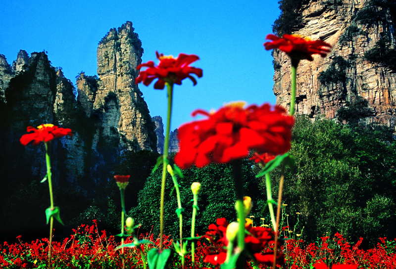 LF線：張家界國(guó)家森林公園、猛洞河漂流、鳳凰古城純玩自助五日游